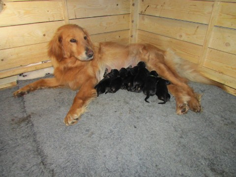 28.5.25.jpg
